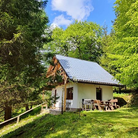 Chatka Pod Trohancem Lutowiska Exterior foto