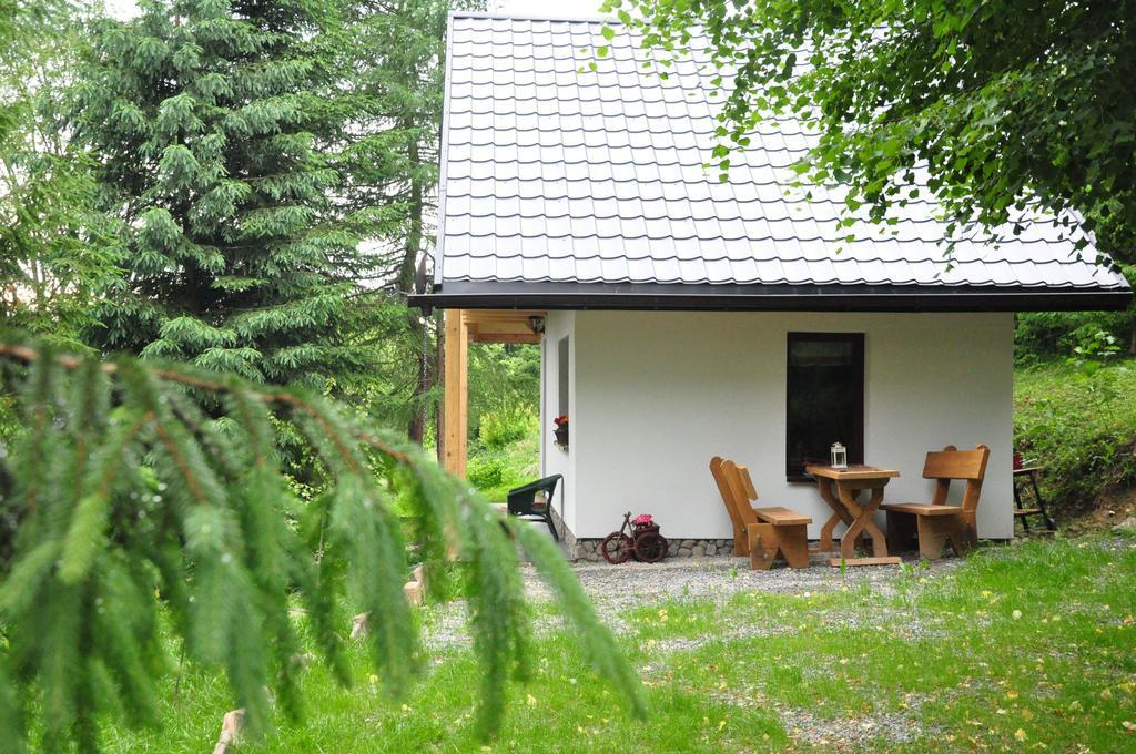 Chatka Pod Trohancem Lutowiska Exterior foto